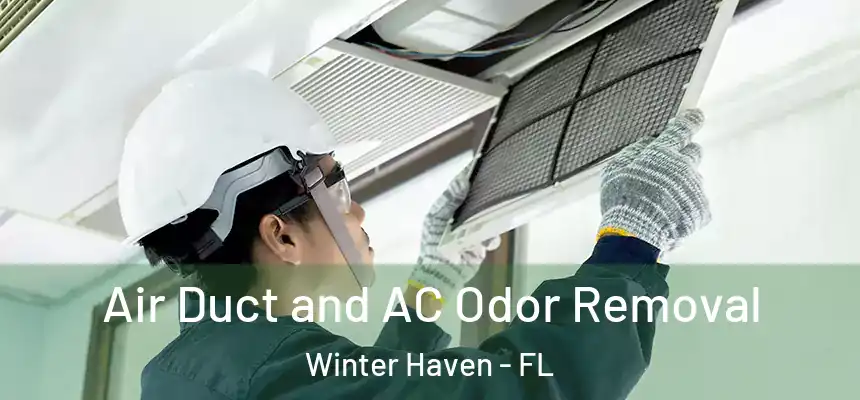 Air Duct and AC Odor Removal Winter Haven - FL