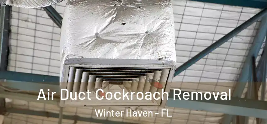 Air Duct Cockroach Removal Winter Haven - FL