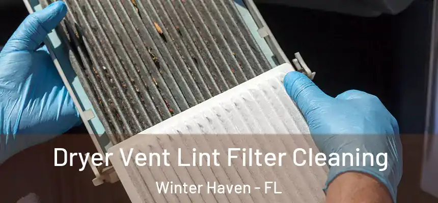 Dryer Vent Lint Filter Cleaning Winter Haven - FL