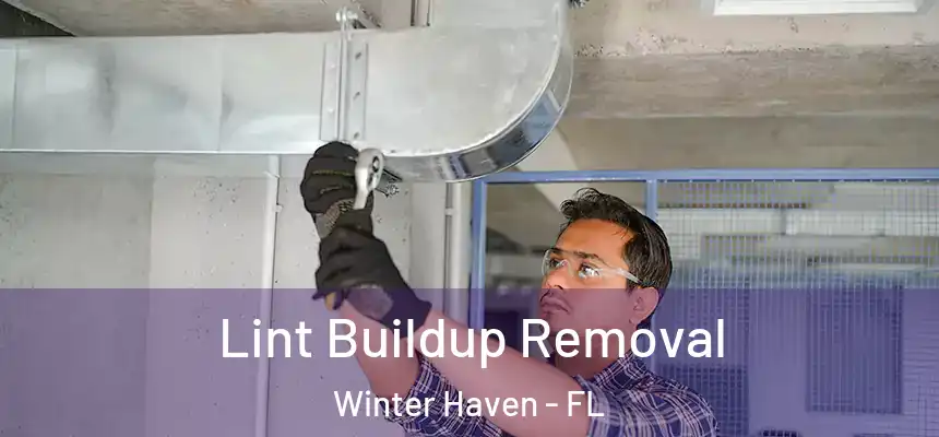 Lint Buildup Removal Winter Haven - FL