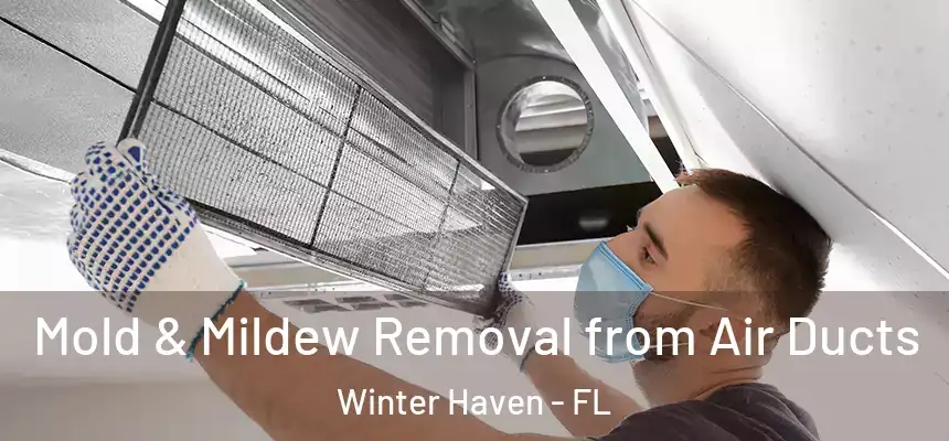 Mold & Mildew Removal from Air Ducts Winter Haven - FL