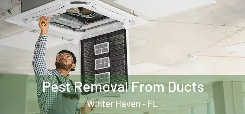 Pest Removal From Ducts Winter Haven - FL