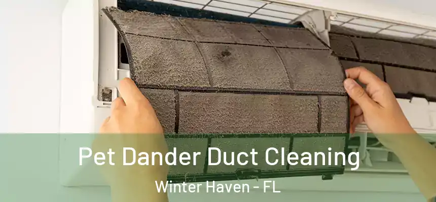 Pet Dander Duct Cleaning Winter Haven - FL