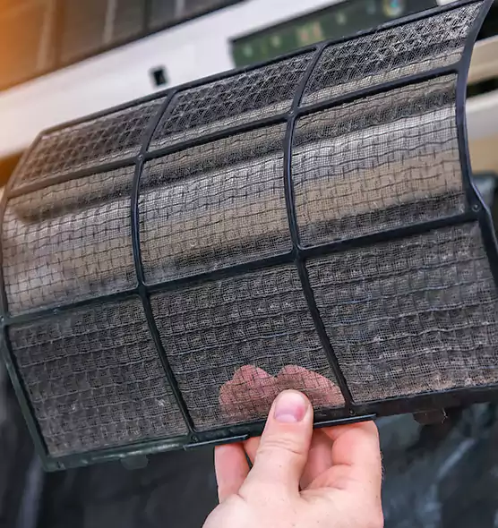 About Pet Dander Duct Cleaning in Winter Haven, FL